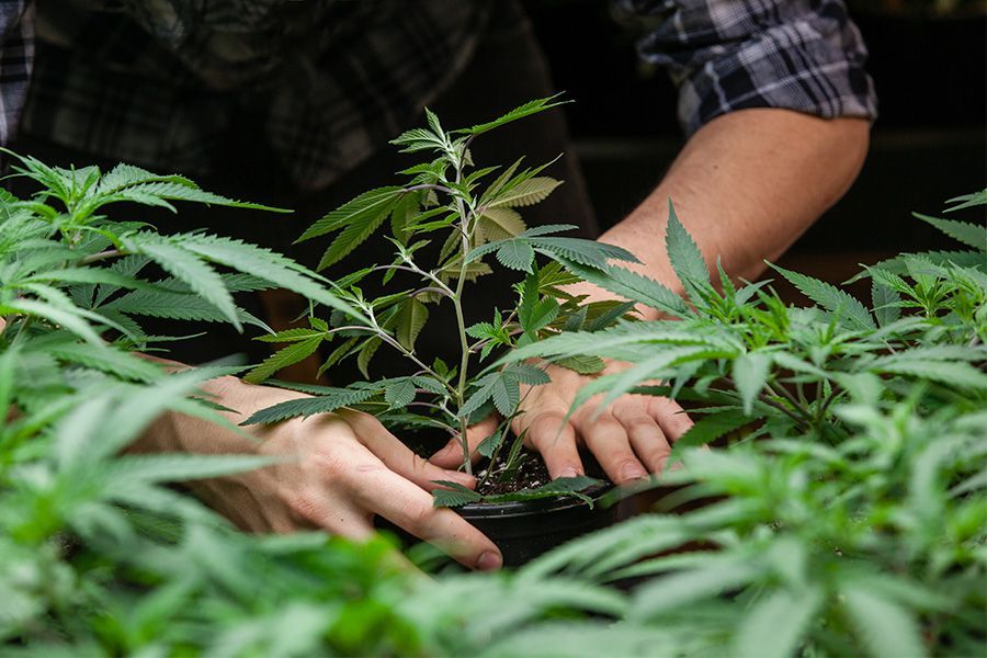 Produkte für die Geruchsneutralisierung