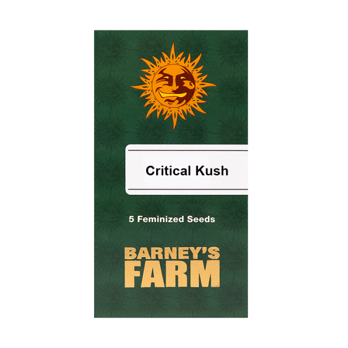 Critical Kush | Feminisiert