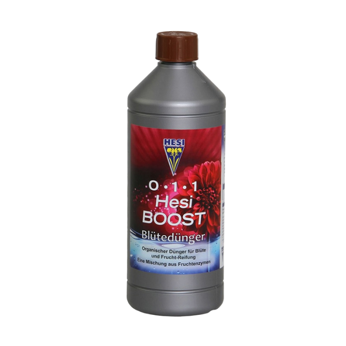 Hesi Boost