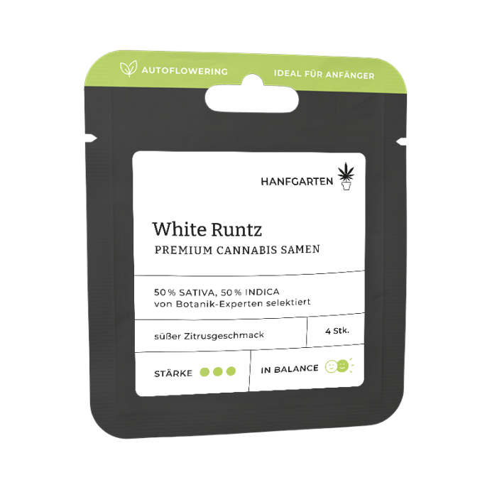 White Runtz | Autoflowering