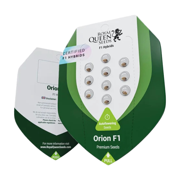 Orion F1 | Autoflowering
