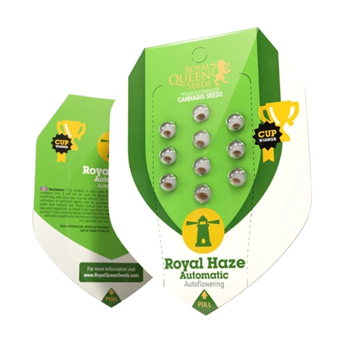 Royal Haze | Autoflowering