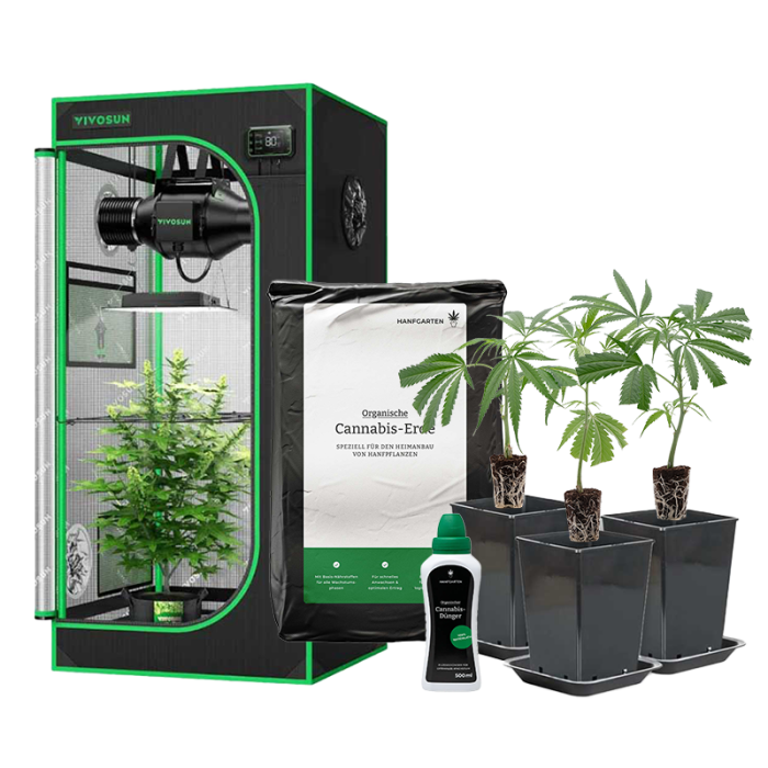 Indoor-Anbau Rundum Sorglos Paket | Stecklinge