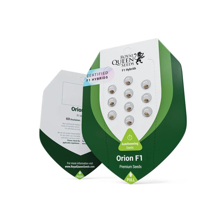 Orion F1 | Autoflowering