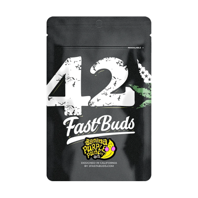 Verpackung der Banana Purple Punch Aurto Hanfsamen