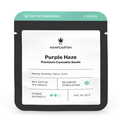 Purple Haze Cannabissamen
