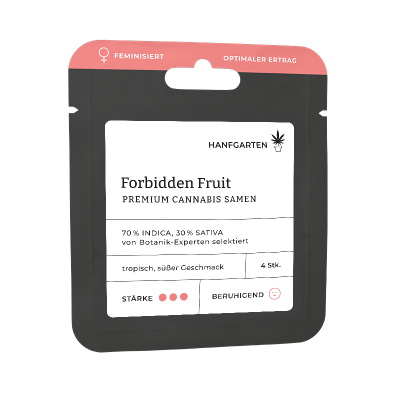 Forbidden Fruit | Feminisiert Vorderseite