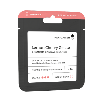 Lemon Cherry Gelato | Feminisiert Vorderansicht