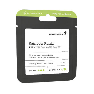 Rainbow Runtz | Autoflowering Vorderseite 