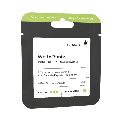 White Runtz | Autoflowering Vorderansicht