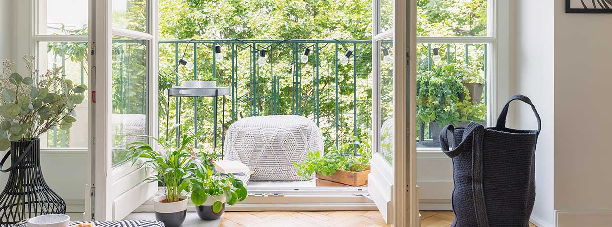 Sonne statt Strom: So klappt der Cannabisanbau am Balkon!