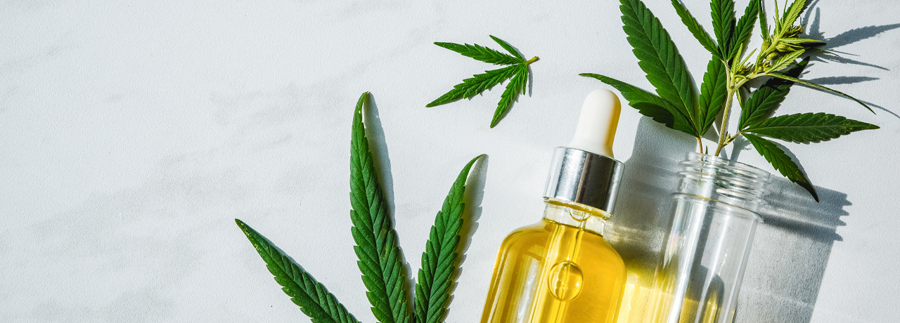 THC-Öl (Cannabisöl) selber herstellen