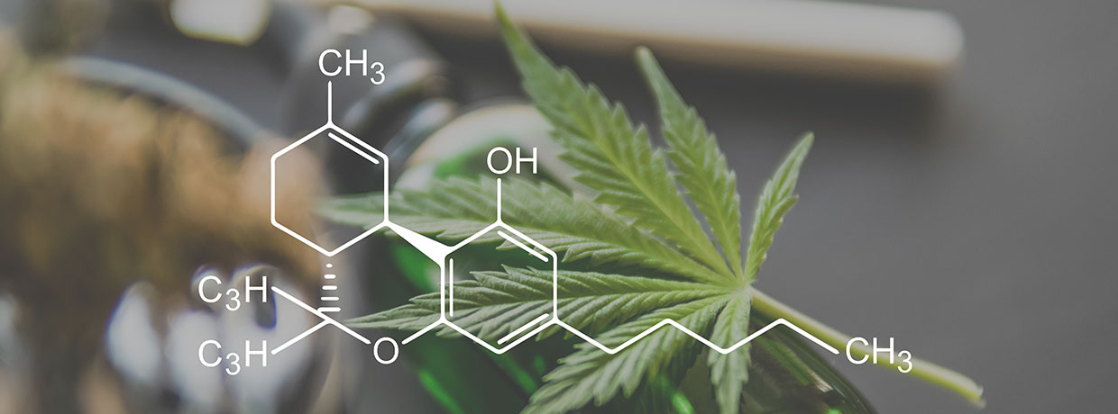 Was ist THC (Tetrahydrocannabinol)?