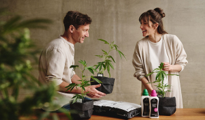 Eigenanbau vs. medizinisches Cannabis: Wann lohnt sich der Grow?
