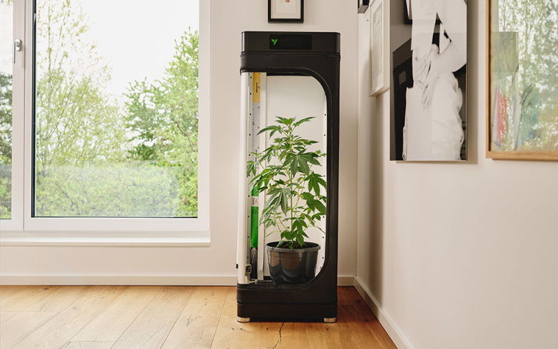 Growbox-Checkliste: Alles, was Du für den Indoor-Grow brauchst