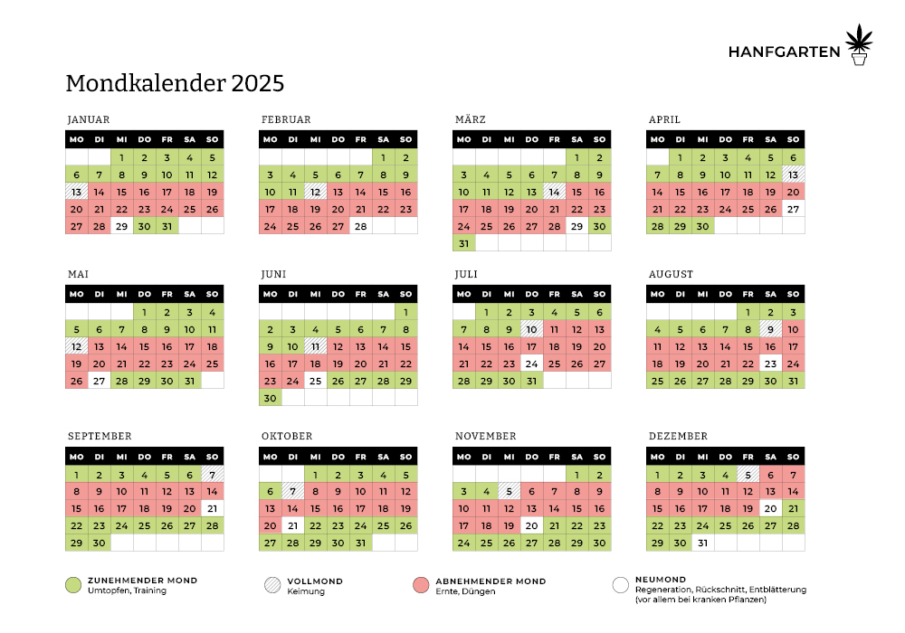 Cannabisanbau nach dem Mondzyklus im Jahr 2025