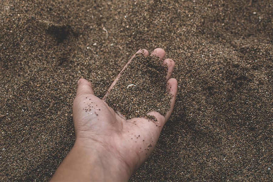 Hanf richtig düngen