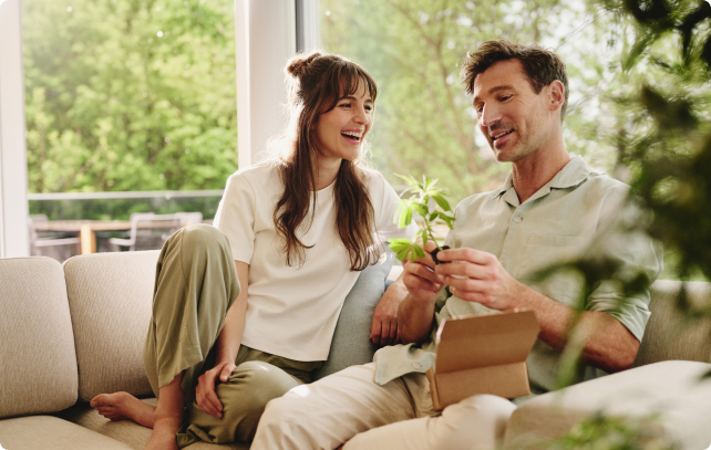 Cannabis Stecklinge von Hanfgarten Cannabis Stecklinge von Hanfgarten