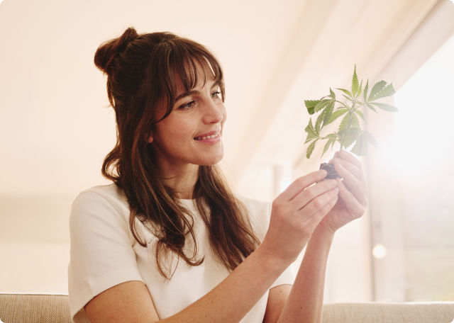 Hanfgarten Erfolgsgarantie Hanfgarten Erfolgsgarantie