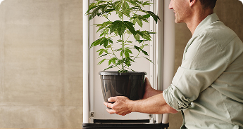 Growbox Komplettsets Growbox Komplettsets